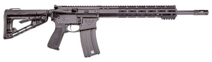 Wilson Combat Gen 1 HAM'R Protector Carbine: .300, 16.25" Semi-Auto Rifle