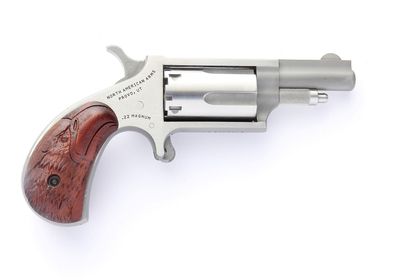 NAA Mini-Revolver Convertible .22LR/.22MAG Gen 1 - Compact Precision