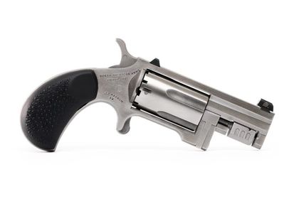 NAA Sentinel Compact Revolver .22 Mag - Stainless Steel, 5rd Capacity