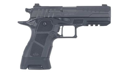 StealthGuard 9mm Gen 1: 17-Round Semi-Auto Pistol, 4.25" Barrel