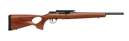 Savage A22 Gen 1 .22 LR Semi-Auto Rifle - AccuTrigger, Optic Ready