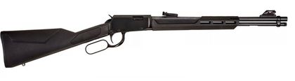 Rossi Rio Bravo .22 LR Betsy Ross Edition Lever-Action Rifle