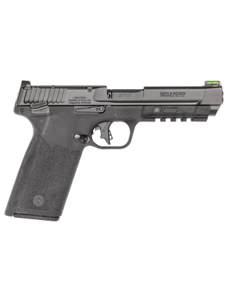 S&W M&P 22 Magnum Gen 1: High-Capacity Optics-Ready Pistol