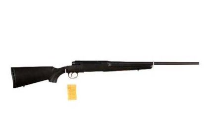 Savage Axis Gen 1 .223 Rem Bolt-Action Rifle - Matte Black Precision
