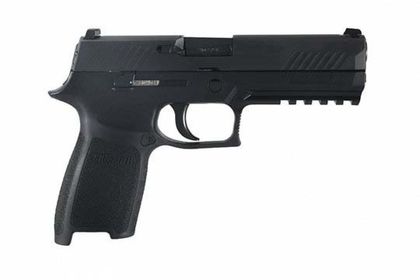Sig Sauer P320 Gen 1 .40 S&W Modular Semi-Auto Pistol - Nitron Finish