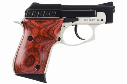 Taurus PT-22 Gen 1 Concealed Compact .22 LR Pistol - Lightweight Defender