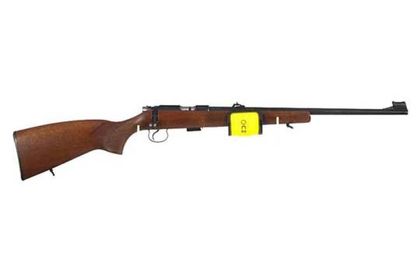 CZ-USA 455 Precision Bolt-Action Rifle .22 LR - Versatile Accuracy