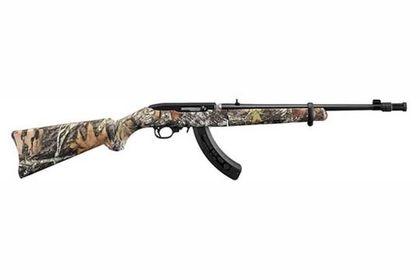 Ruger 10/22 Takedown Gen-1: Versatile .22 LR Semi-Auto Rifle