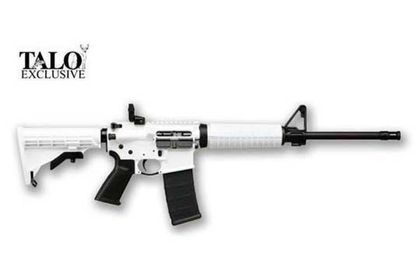 Ruger AR-556 Gen 1: Versatile Semi-Auto Rifle, .223/5.56, 30-Rd Capacity