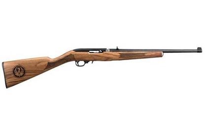 Ruger Takedown 44491 .22 LR Semi-Auto Rifle - Precision & Portability