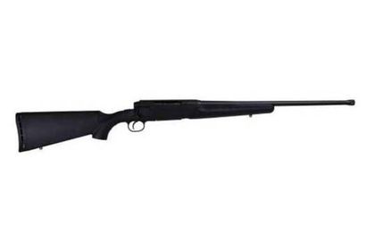 Savage Axis Gen 1 .223 Bolt-Action Rifle - Precision Matte Black