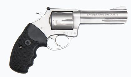 Charter Arms Pitbull .40 S&W Revolver Gen 1 - Compact Stainless Defender