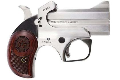 Bond Arms Texas Defender Gen 1 .22 LR Dual-Barrel Satin Pistol