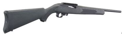 Ruger 44491 Lite .22 LR Semi-Auto Carbine - Precision & Versatility