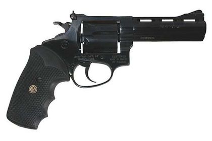 Rossi R85 Compact Revolver: .38 Spl, 6-Round, Adjustable Sights