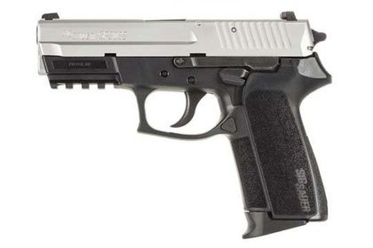 Sig Sauer SP2022 Gen 1 .40 S&W NightSight Semi-Auto Pistol