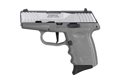 SCCY DVG-1 9mm Compact Pistol - Grey/Stainless Steel Finish