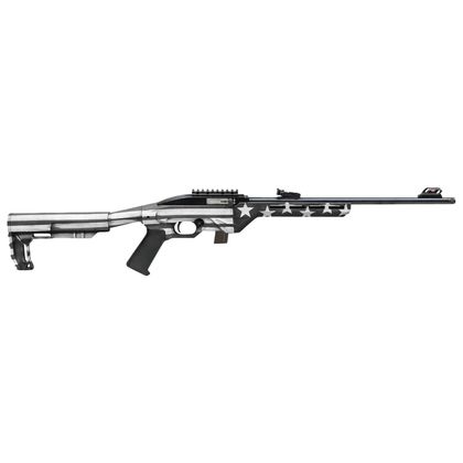 Citadel Trakr Gen 1 .22LR Semi-Auto Rifle - Precision Gray Finish