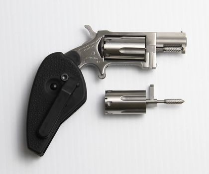 NAA Sidewinder Gen 1 .22LR Revolver - Compact Stainless Holster Grip