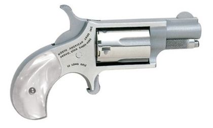 NAA Mini-Revolver Gen 1 .22 LR - Compact Stainless 5-Shot Revolver