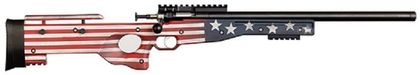 Crickett Precision Gen 1 .22LR Bolt Action Rifle - American Flag Edition
