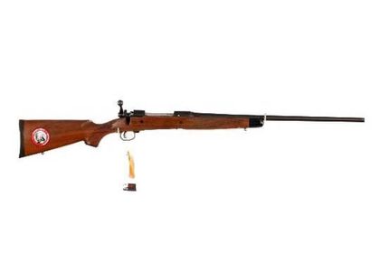 Savage Classic 14/114 Bolt-Action Rifle - 7mm Rem. Mag, Walnut Finish