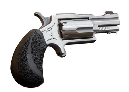 NAA Bug Out II .22 Magnum Stainless Mini-Revolver - 5rd Compact Defender