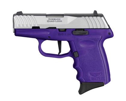 SCCY DVG1 Gen 1 9mm Compact Pistol - Stainless Steel & Purple Finish