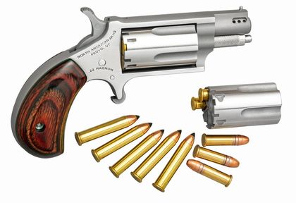 NAA Mini-Revolver Gen 1: Dual .22 LR/WMR, 1.63" Rosewood SS Finish