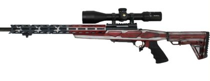 Patriot Precision M1500: Red, White & Blue .223 REM Bolt Action Rifle