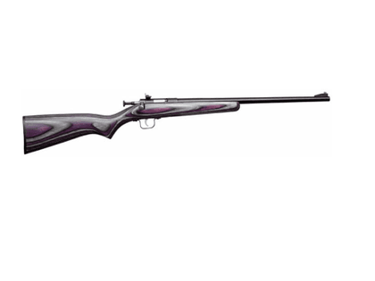 Crickett Youth G2 .22 LR Bolt-Action Rifle - Purple Laminate Stock