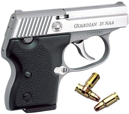 NAA Guardian Gen 1 Compact .25 NAA Stainless Pistol + Holster Combo