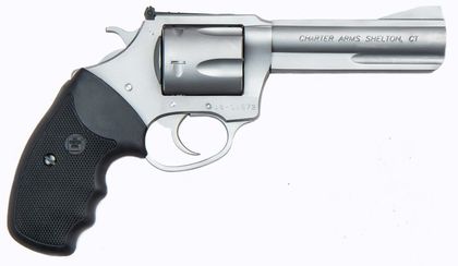 Charter Arms StealthGuard .38 SPL Stainless 6-Shot Revolver
