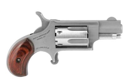 NAA Mini-Revolver Gen 1: Dual-Caliber .22 LR/Magnum Stainless Steel
