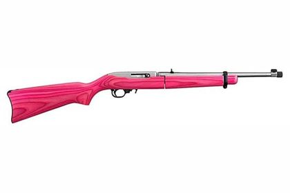 Ruger 10/22 Takedown Gen 1: .22 LR Semi-Auto Precision Rifle