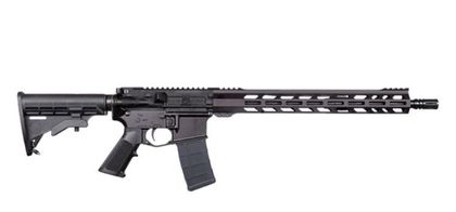 ZRO Delta Wylde Precision Rifle - Gen 1 : Versatile & Accurate .223/5.56