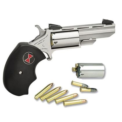NAA Black Widow Gen 1: Compact Stainless .22 LR/ .22 WMR Revolver