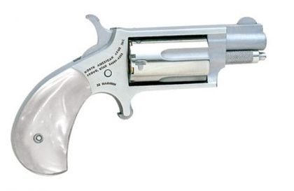 NAA Mini Revolver .22 WMR - Gen 1 Stainless Steel Pocket Defender