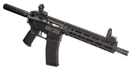 Tippmann PRO Pistol Gen 1: .22 LR, 25-Rd Semi-Auto, Black Finish