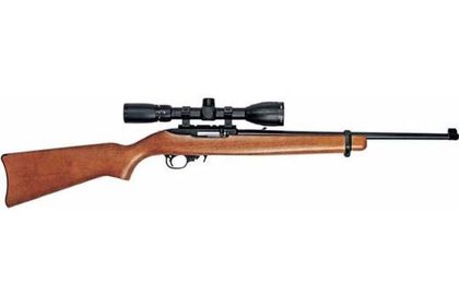 Ruger Carbine 44491 .22 LR Semi-Auto Rifle - 10-Round Precision Hunter